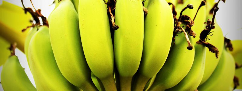 bananito dietfresh