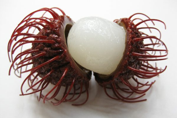 rambutan-dietfresh