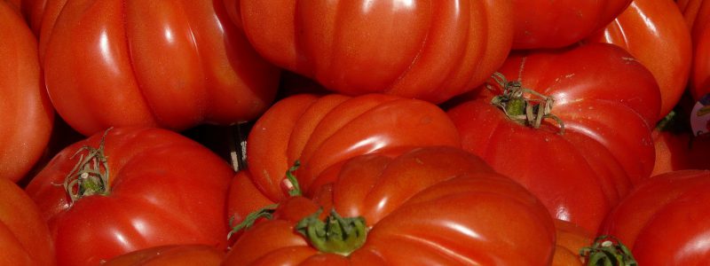 tomate-corazon-de-buey dietfresh